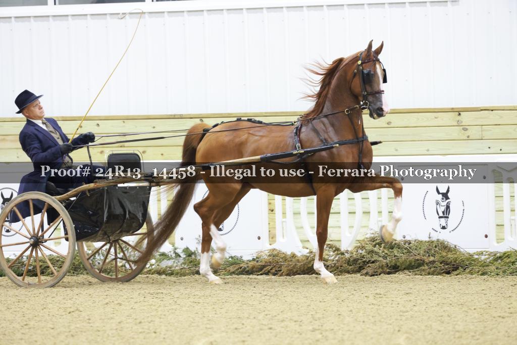 Proof 24R13_14458