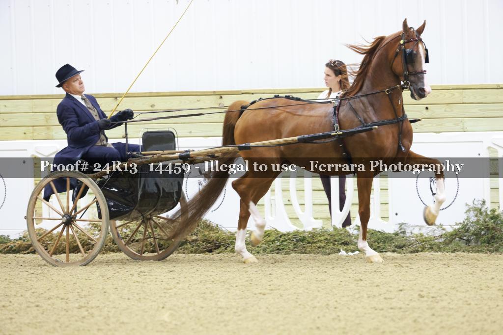 Proof 24R13_14459