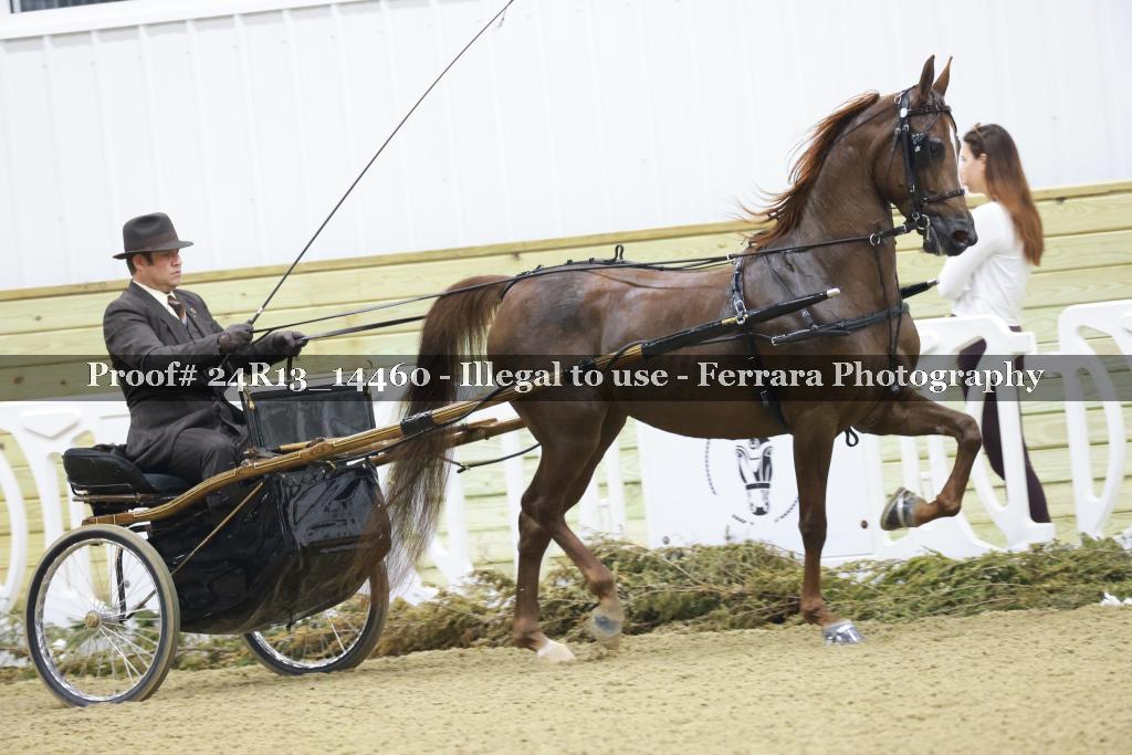 Proof 24R13_14460