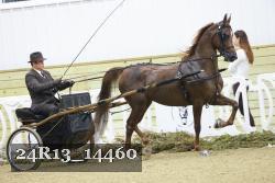 24R13_14460 proof