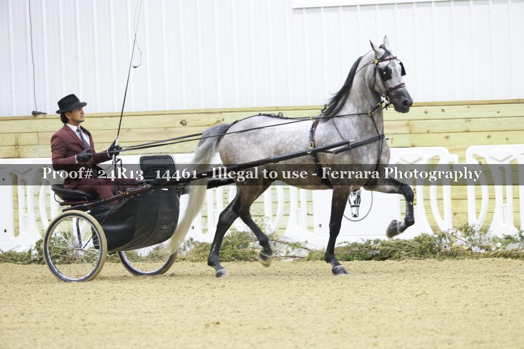 Proof 24R13_14461