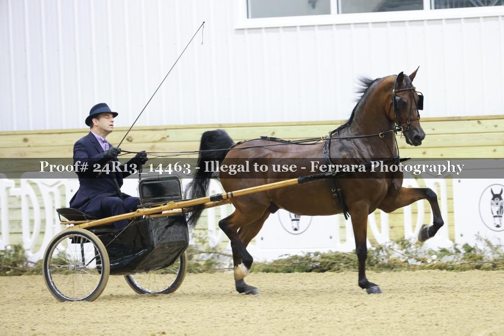 Proof 24R13_14463