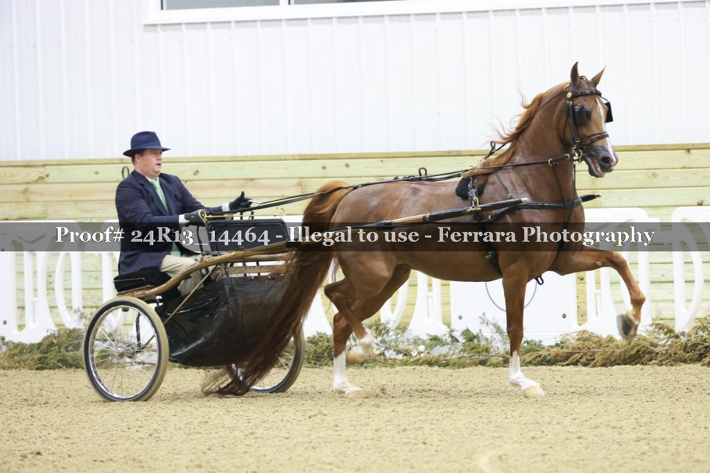 Proof 24R13_14464