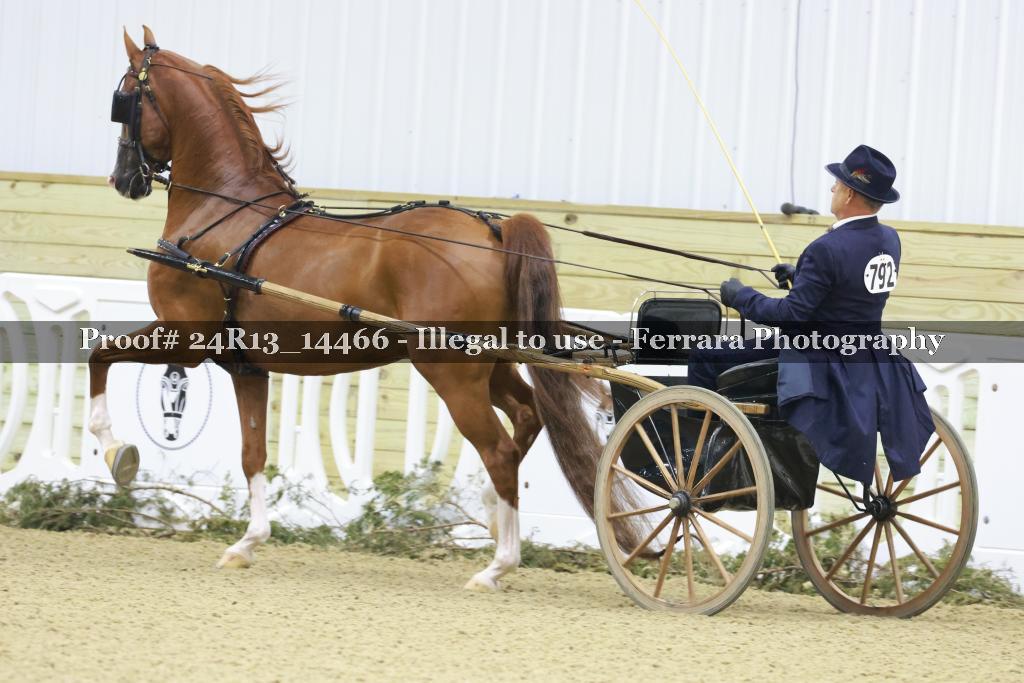 Proof 24R13_14466