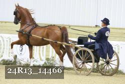 24R13_14466 proof