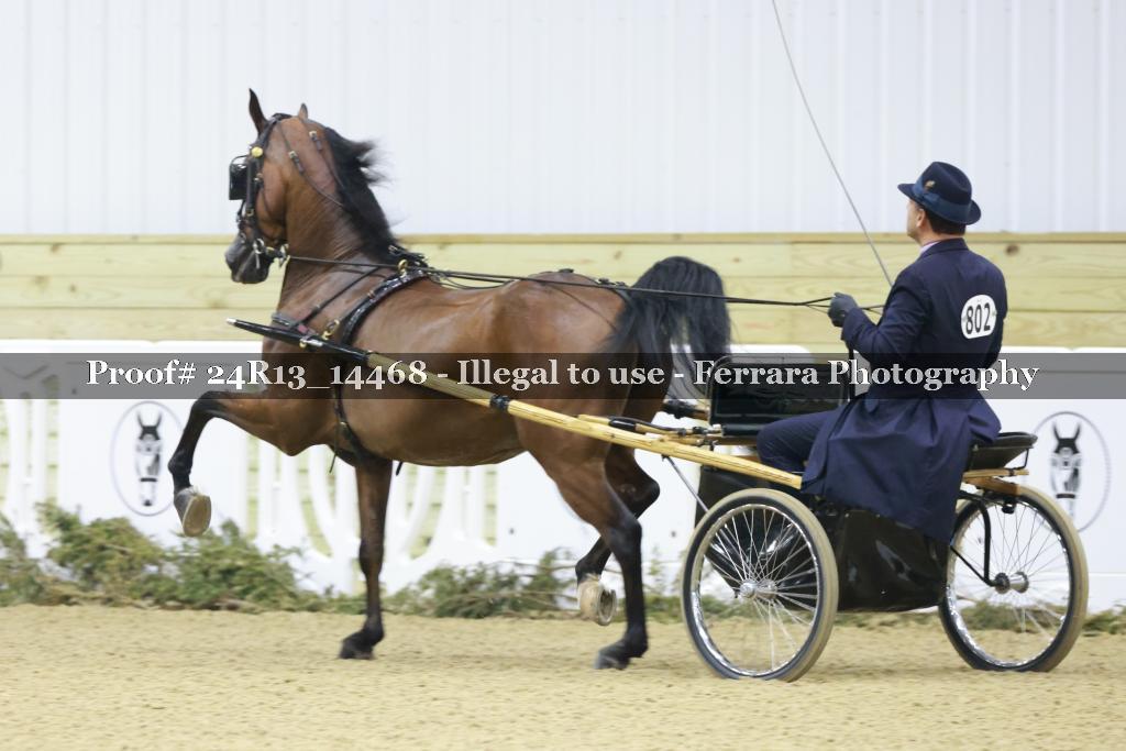Proof 24R13_14468