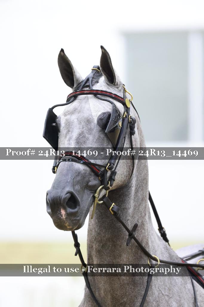 Proof 24R13_14469