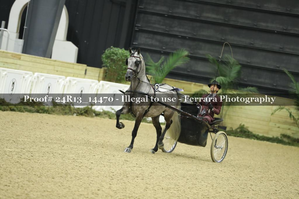 Proof 24R13_14470