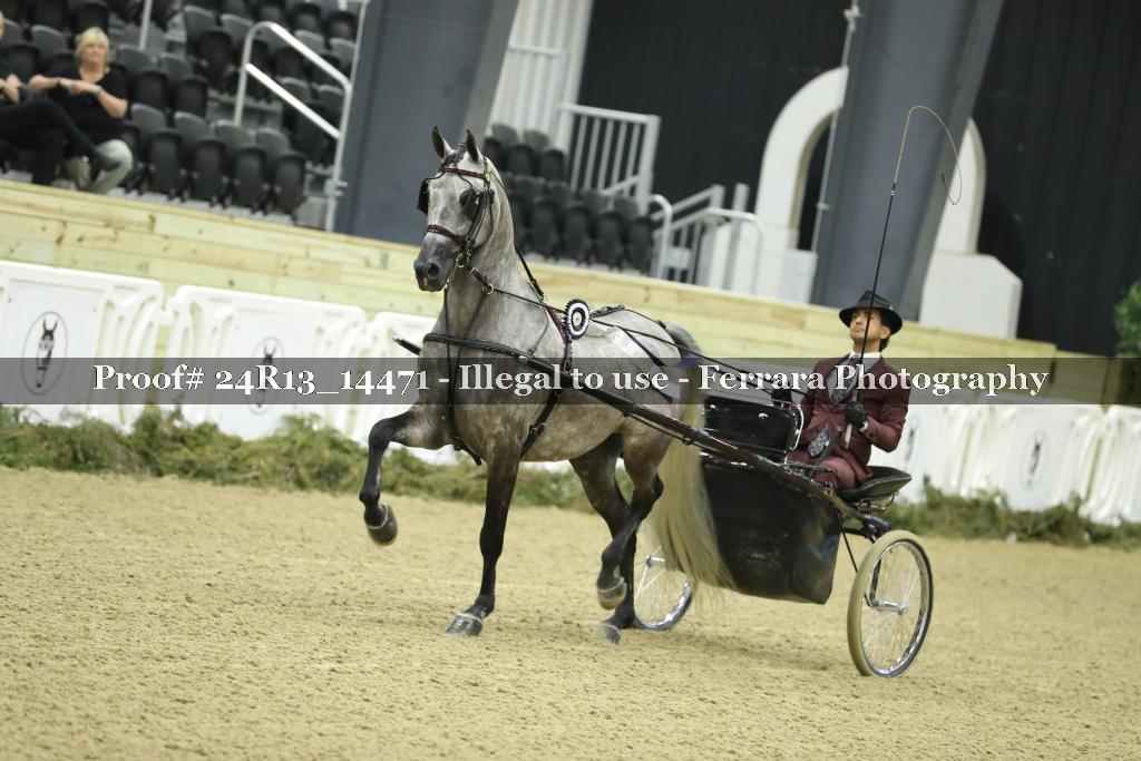 Proof 24R13_14471