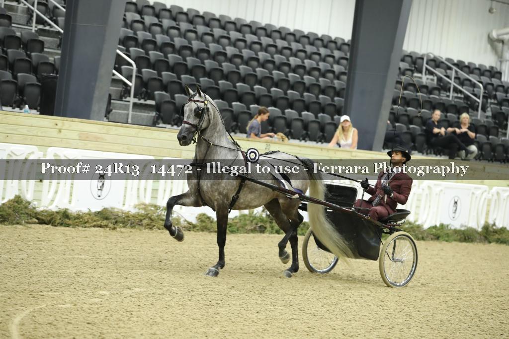 Proof 24R13_14472