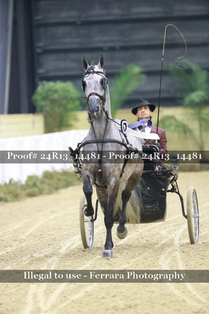 Proof 24R13_14481