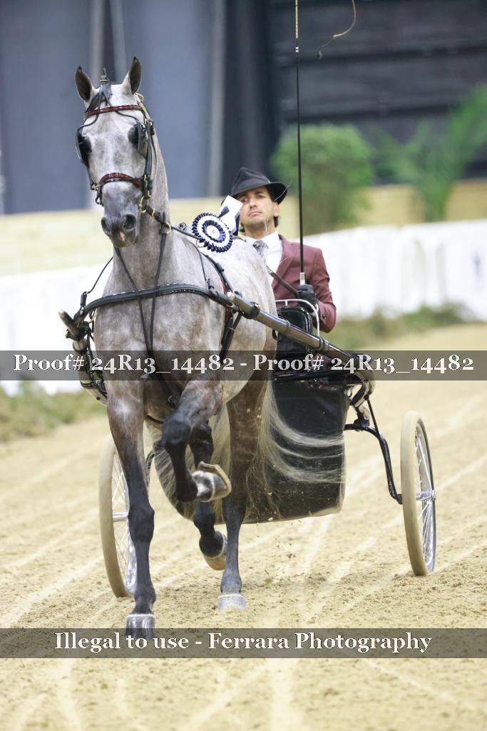 Proof 24R13_14482
