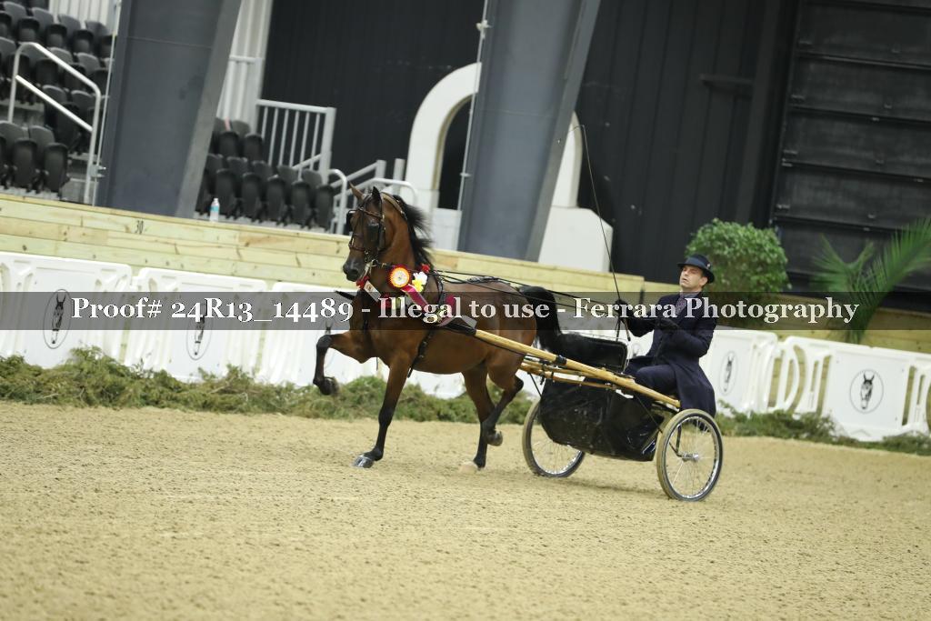 Proof 24R13_14489