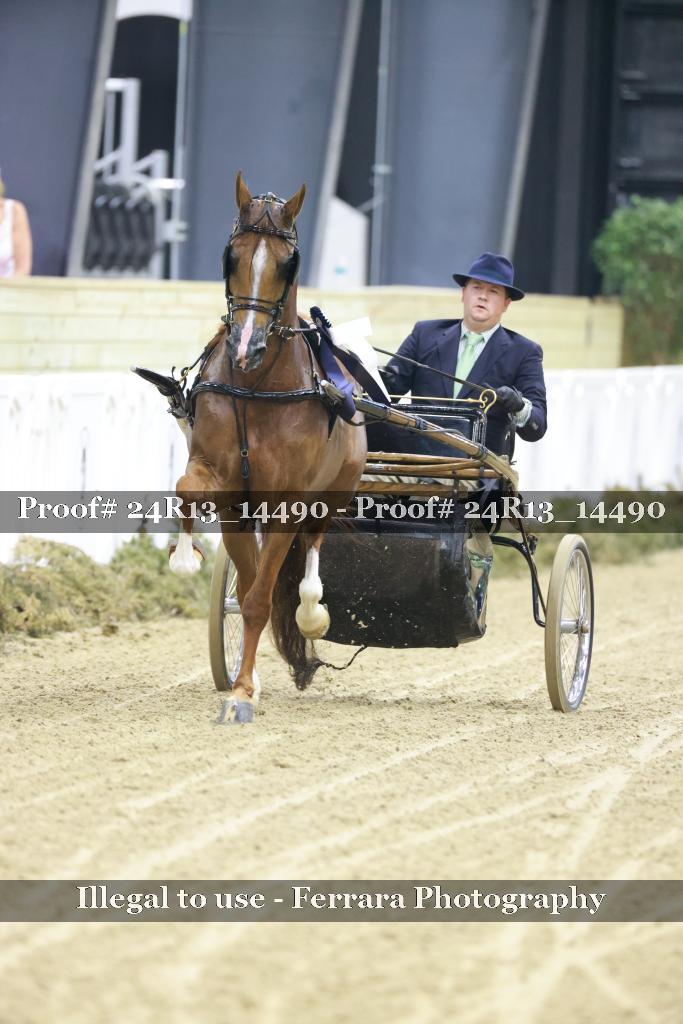 Proof 24R13_14490
