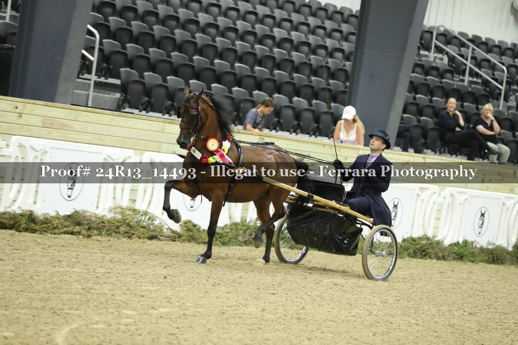 Proof 24R13_14493