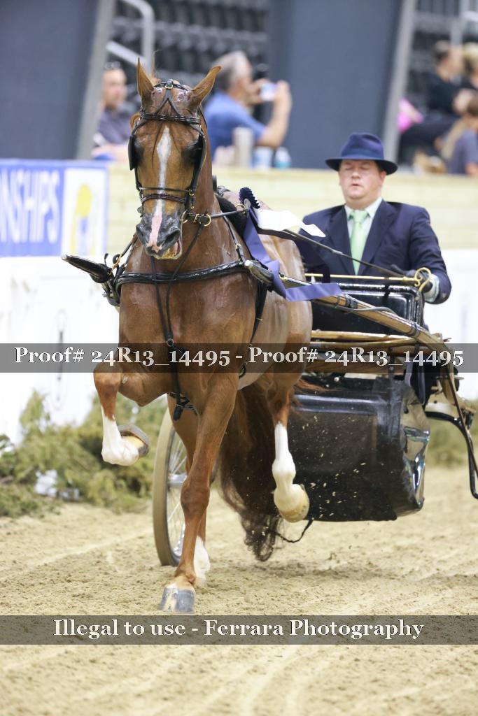 Proof 24R13_14495