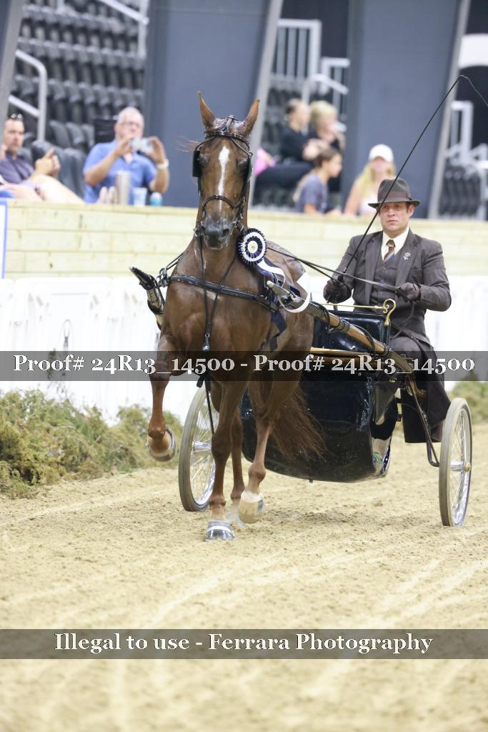Proof 24R13_14500