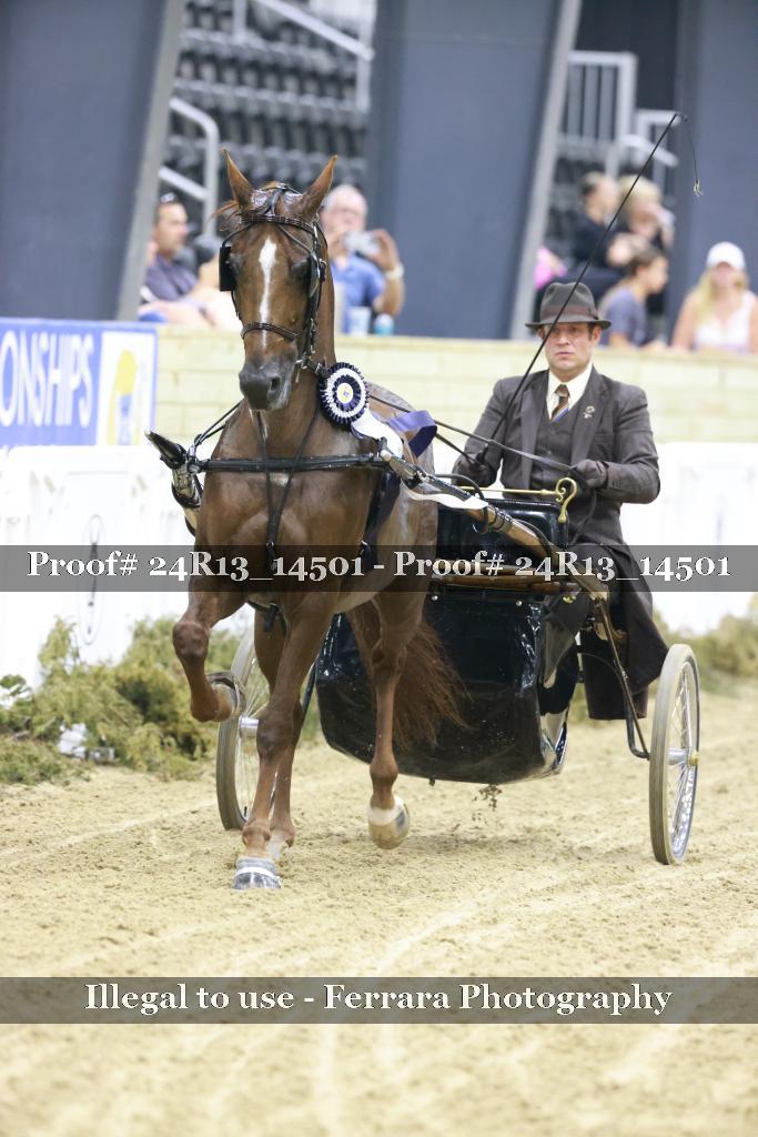 Proof 24R13_14501