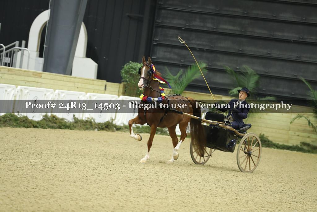 Proof 24R13_14503