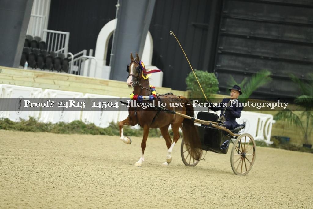 Proof 24R13_14504