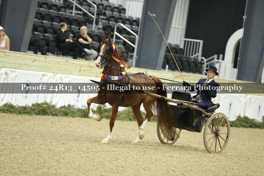 Proof 24R13_14505