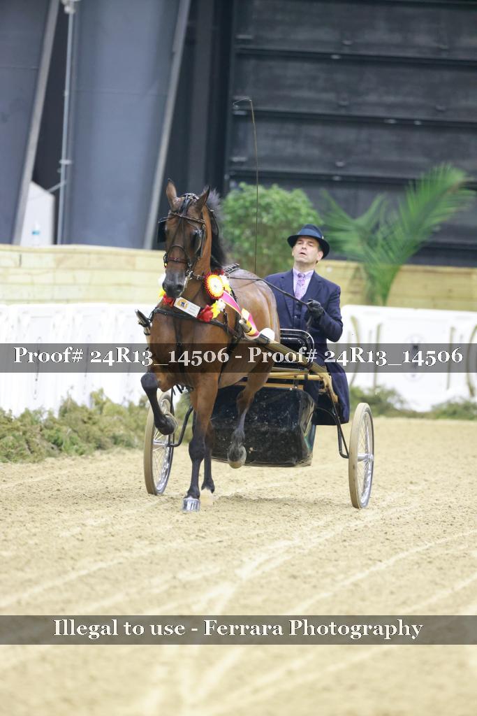 Proof 24R13_14506