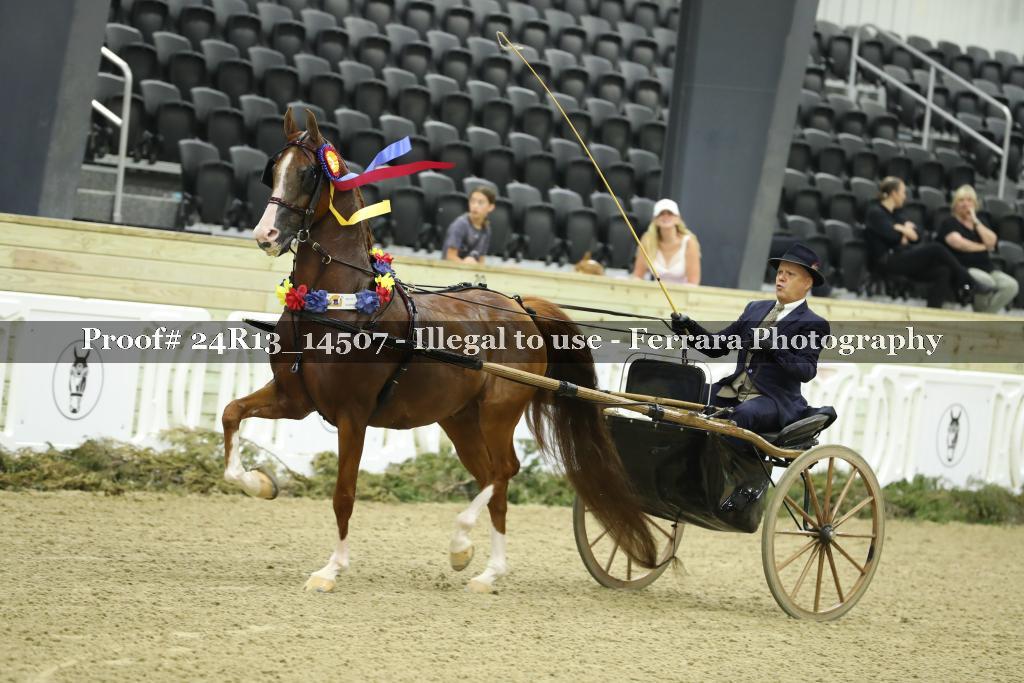 Proof 24R13_14507
