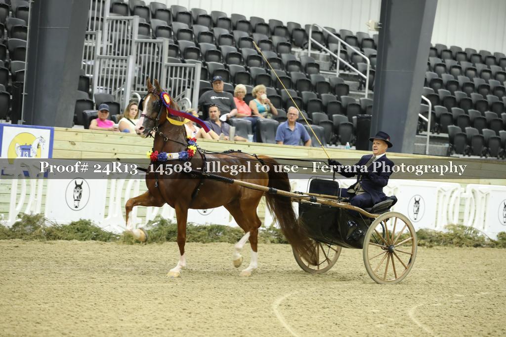 Proof 24R13_14508