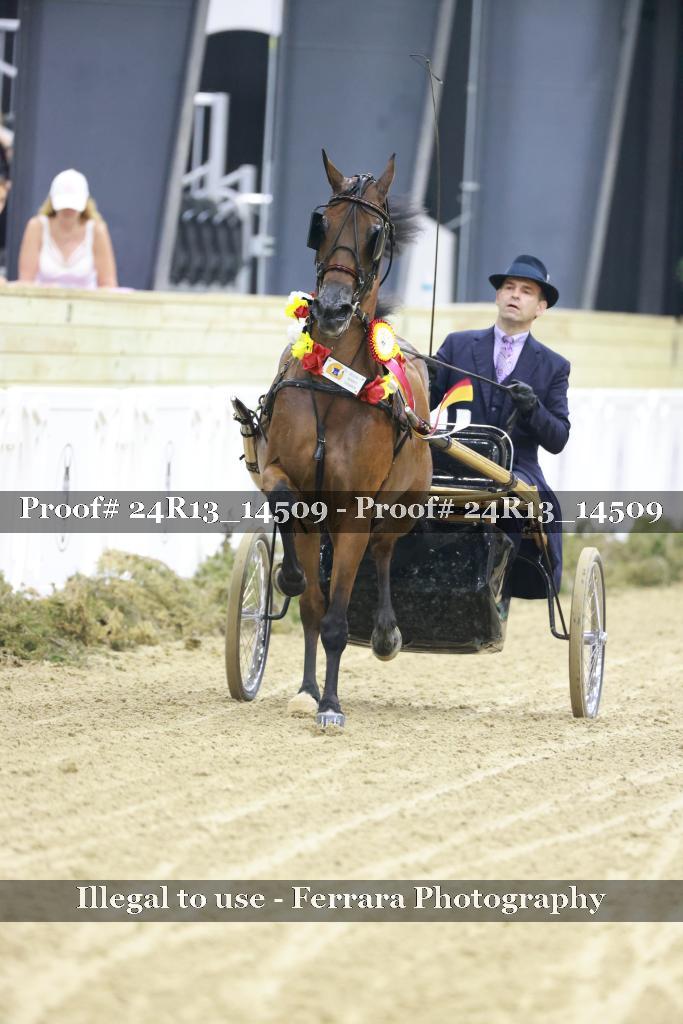 Proof 24R13_14509