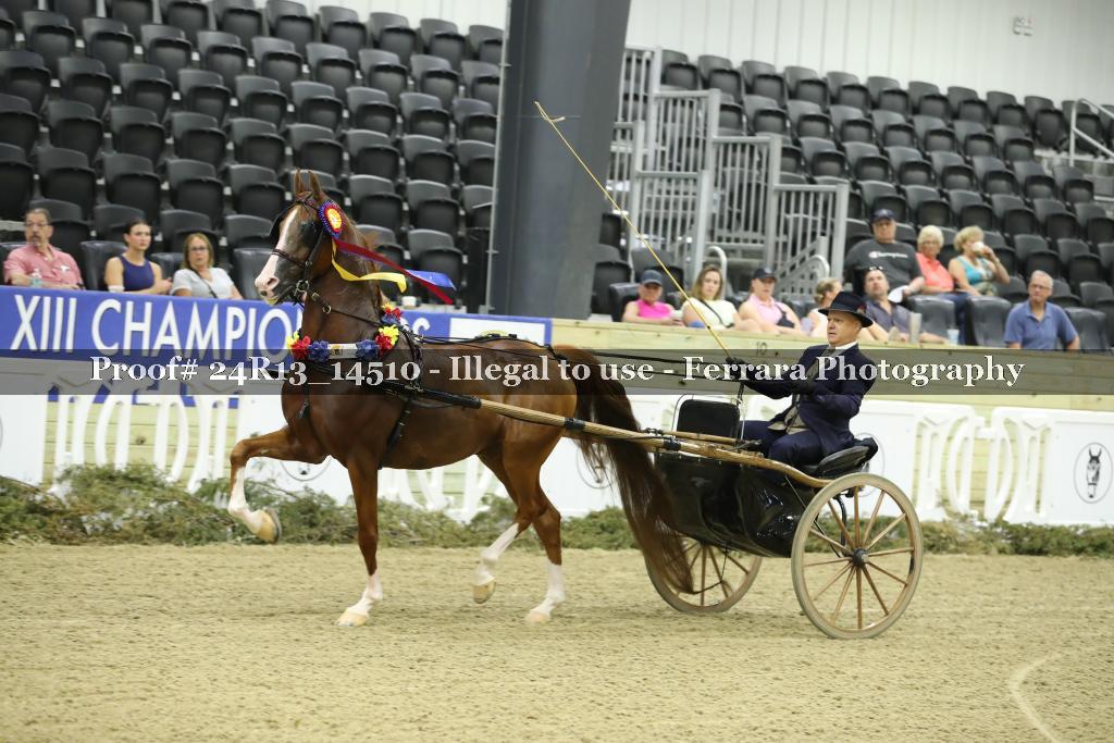 Proof 24R13_14510
