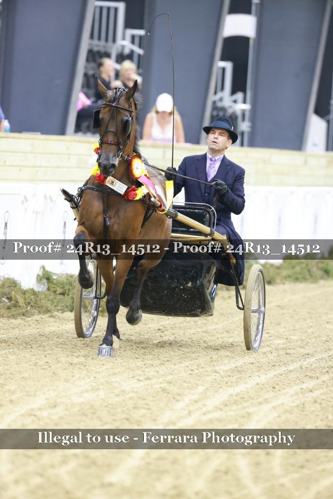 Proof 24R13_14512