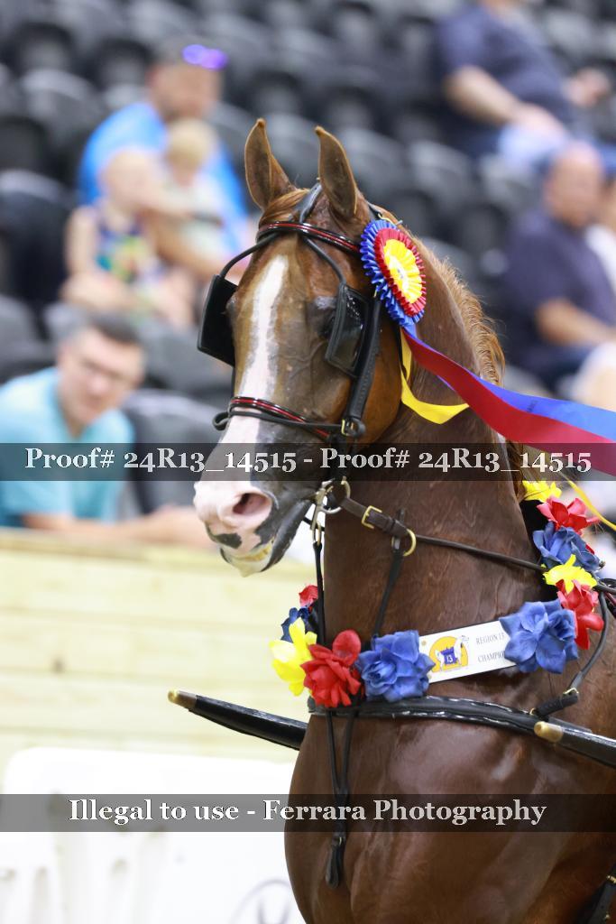 Proof 24R13_14515