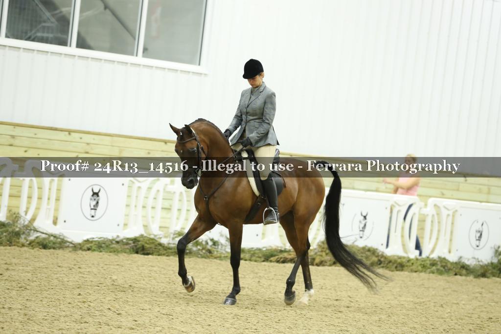 Proof 24R13_14516