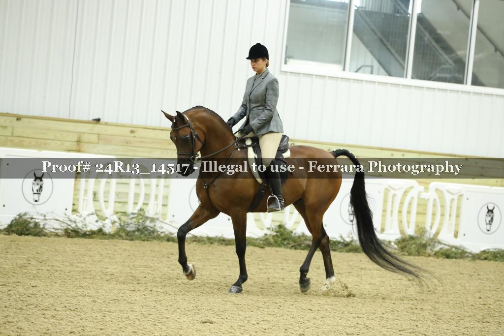 Proof 24R13_14517