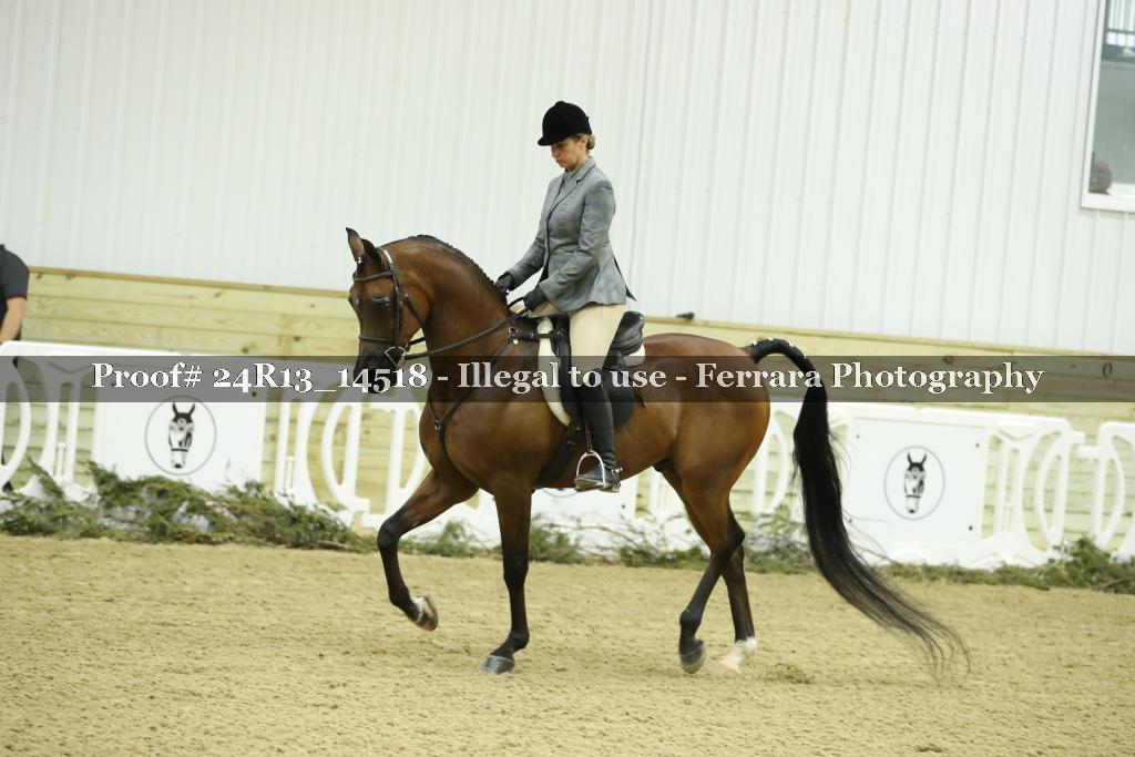Proof 24R13_14518