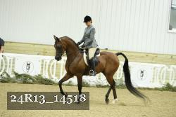 24R13_14518 proof