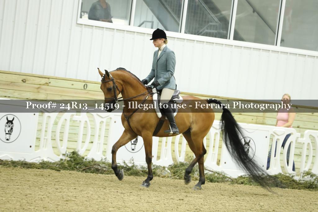 Proof 24R13_14519