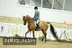 24R13_14519 proof