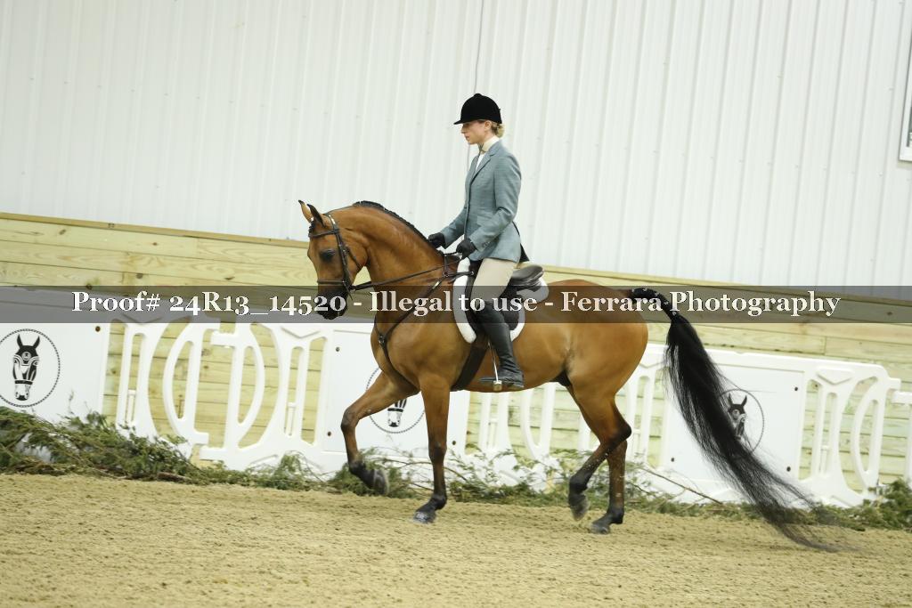 Proof 24R13_14520