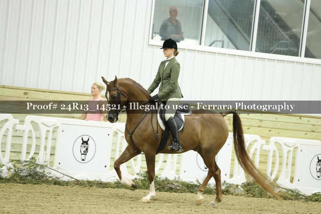 Proof 24R13_14521