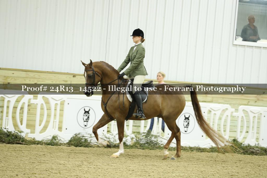 Proof 24R13_14522