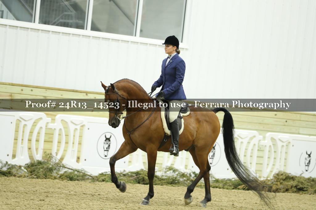 Proof 24R13_14523