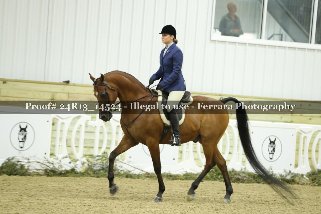 Proof 24R13_14524