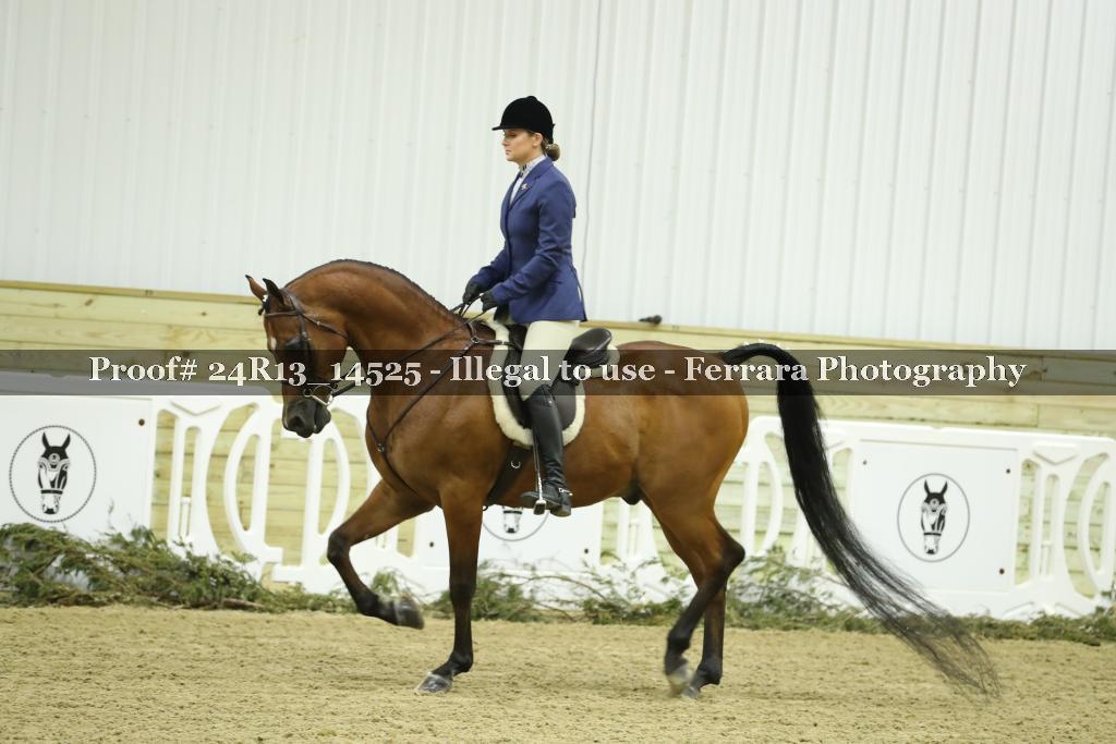 Proof 24R13_14525