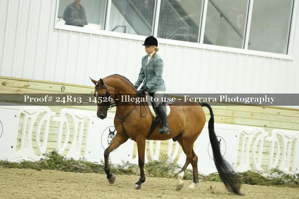Proof 24R13_14526