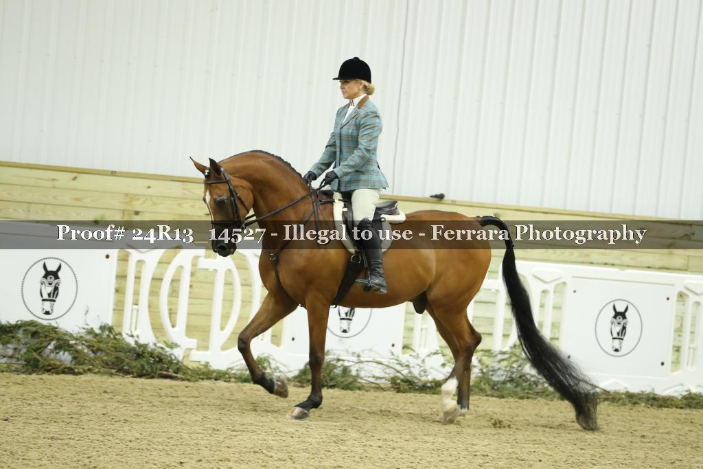 Proof 24R13_14527