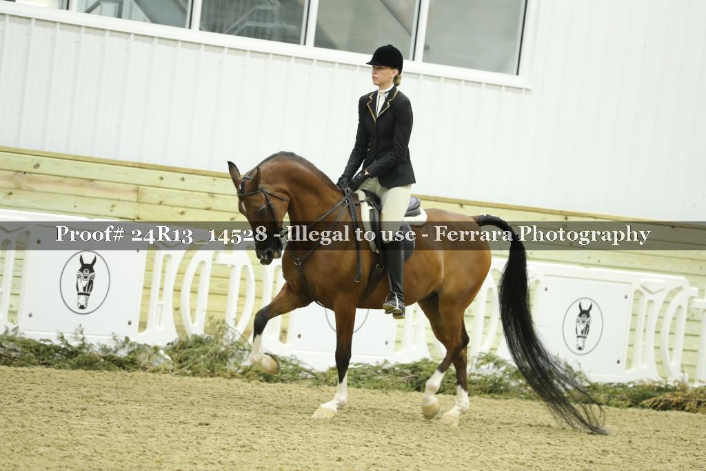 Proof 24R13_14528
