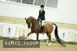 24R13_14528 proof