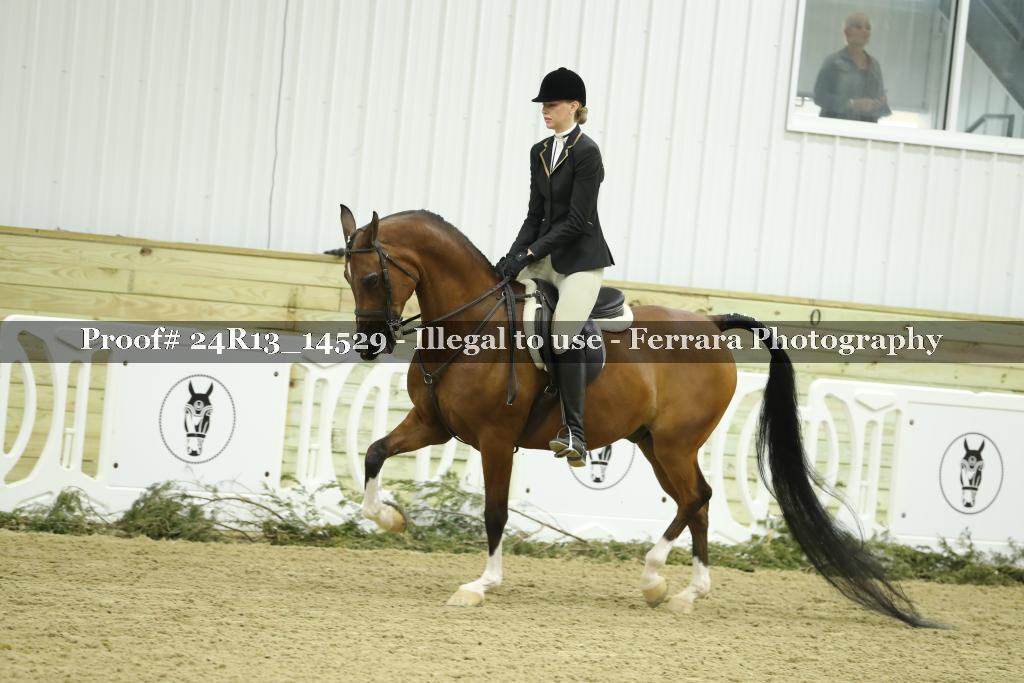 Proof 24R13_14529