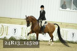 24R13_14529 proof